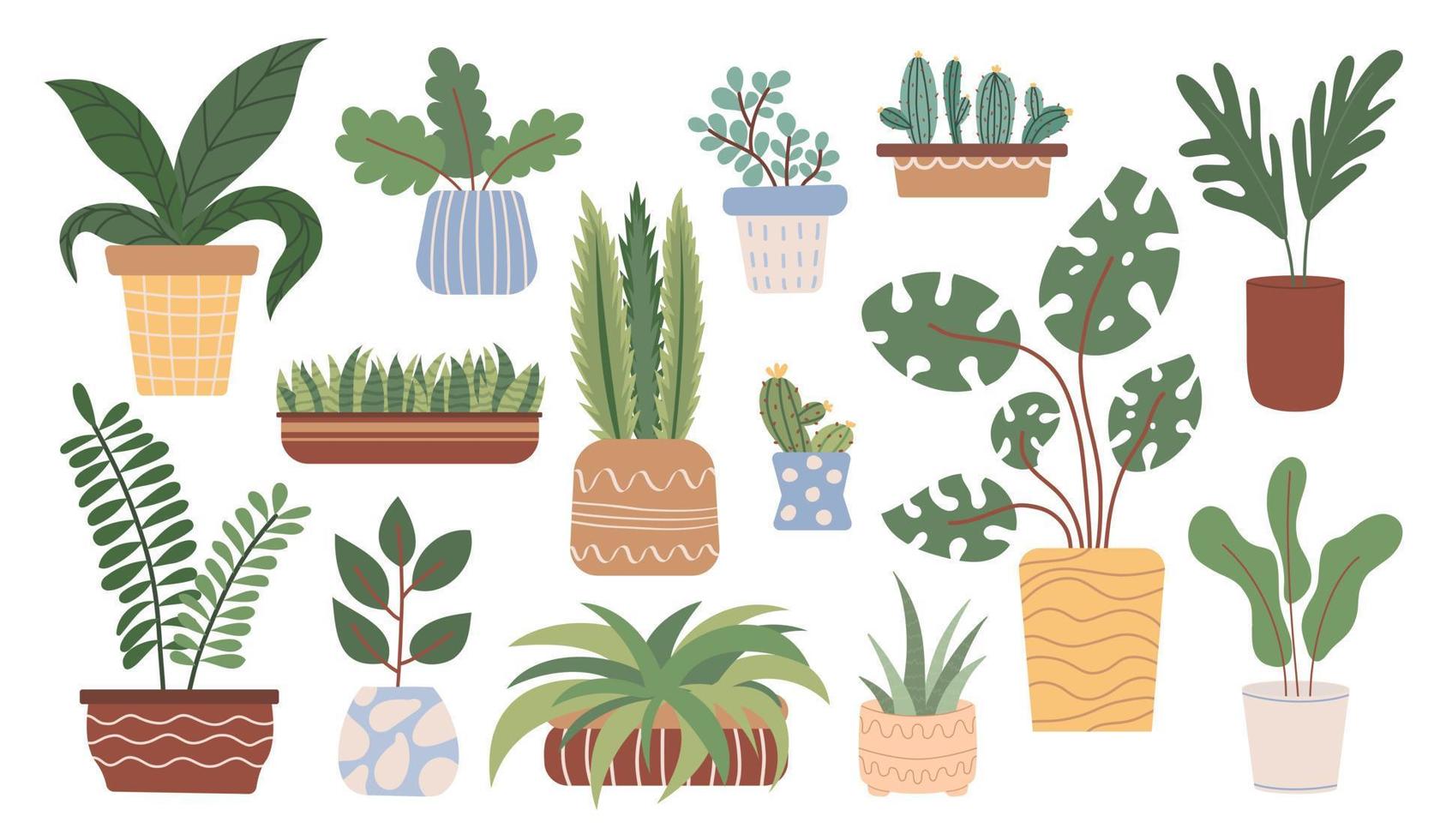 Collection of potted house plants